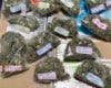 Desmantelado en Guadalajara un centro de distribución de marihuana que enviaba paquetes a distintos puntos de España y Europa