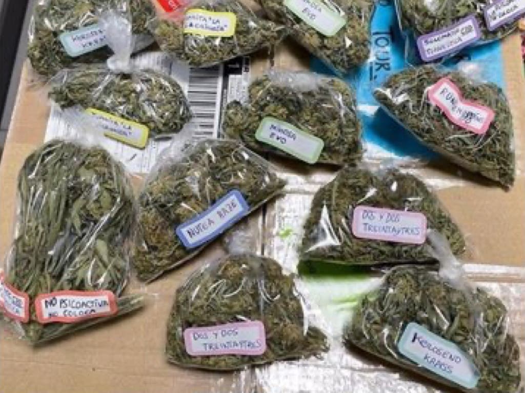 Desmantelado en Guadalajara un centro de distribución de marihuana que enviaba paquetes a distintos puntos de España y Europa