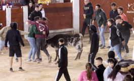 PACMA denuncia un «after hours» con alcohol y becerros en las fiestas de Brihuega