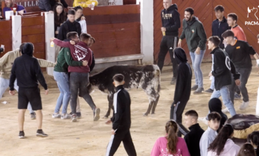 PACMA denuncia un «after hours» con alcohol y becerros en las fiestas de Brihuega