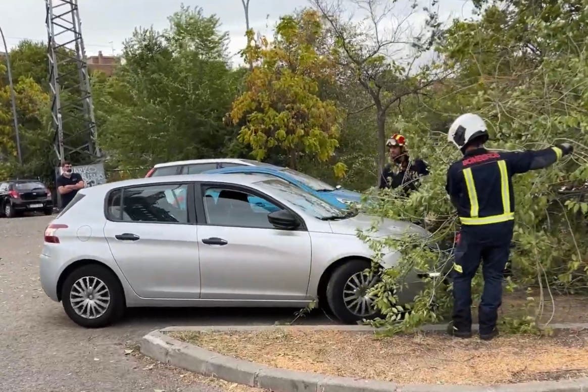 El viento provoca decenas de intervenciones de los Bomberos en la Comunidad de Madrid