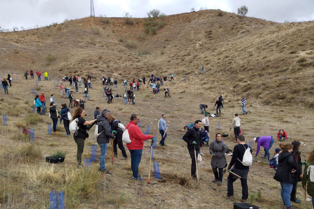 Iberia y el Ayuntamiento de Paracuellos plantan 1.000 nuevos árboles en Miramadrid