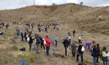 Iberia y el Ayuntamiento de Paracuellos plantan 1.000 nuevos árboles en Miramadrid