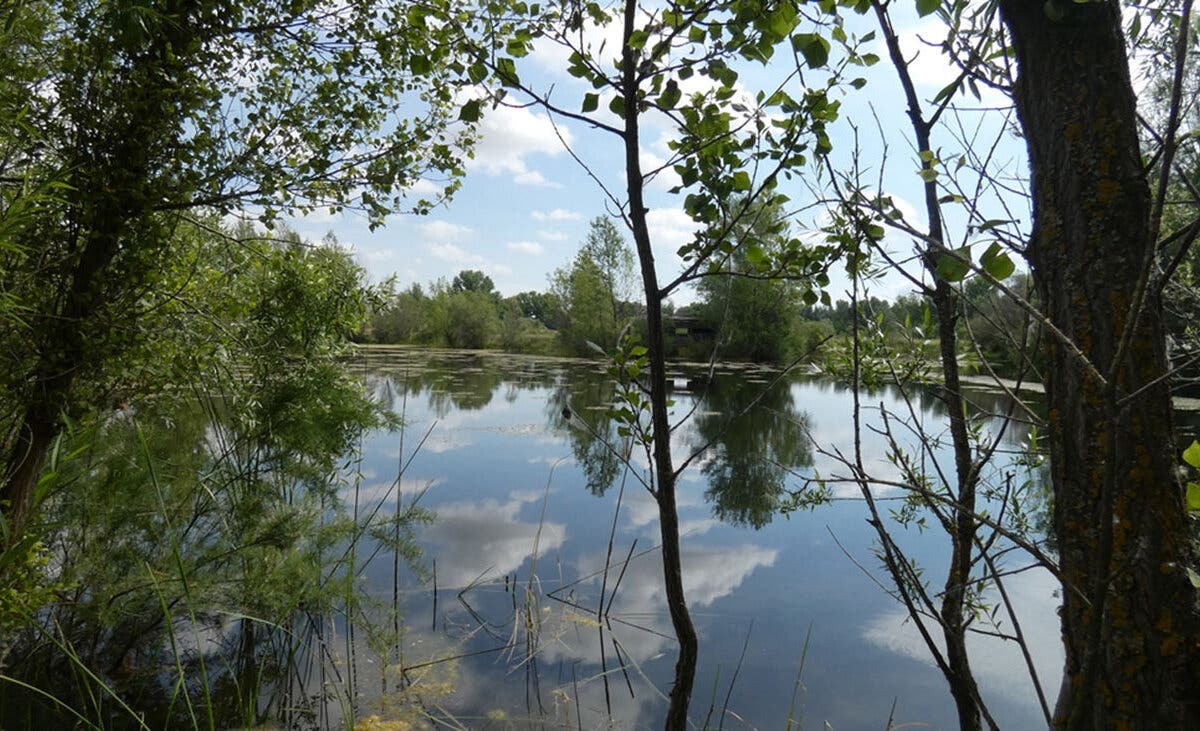 Asociaciones ecologistas rechazan el «megaproyecto de ocio» Jarama Park de Algete, «un complejo privado sobre suelo público de gran valor natural»