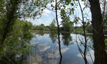 Asociaciones ecologistas rechazan el «megaproyecto de ocio» Jarama Park de Algete, «un complejo privado sobre suelo público de gran valor natural»