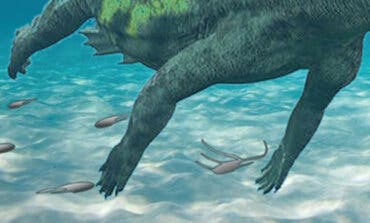 Una investigación de la UAH descubre huellas de notosaurio del Triásico en Guadalajara