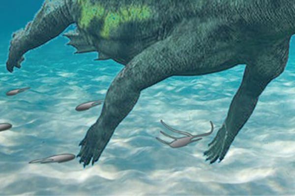 Una investigación de la UAH descubre huellas de notosaurio del Triásico en Guadalajara