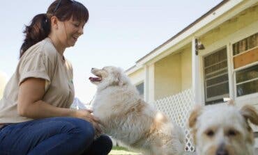 La Comunidad de Madrid organiza este fin de semana el XVII Salón de la Adopción de animales de compañía