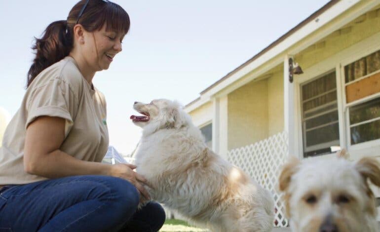 La Comunidad de Madrid organiza este fin de semana el XVII Salón de la Adopción de animales de compañía