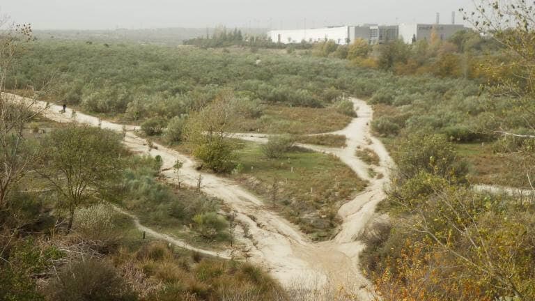Madrid recupera en la Cañada Real 80.000 metros cuadrados de suelo público para espacios verdes tras los últimos realojos 
