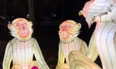 Animales del Arca, el espectacular safari de luz en las Mágicas Navidades de Torrejón 