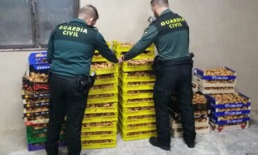 Incautados 400 kilos de níscalos en Guadalajara y denunciadas siete personas por recogida ilegal 