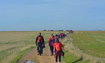 La salud mental protagoniza la sexta ruta del Camino de Cervantes