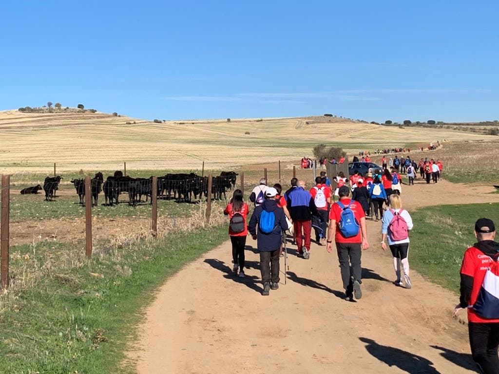 El Camino de Cervantes dedica su cuarta ruta a los primeros auxilios