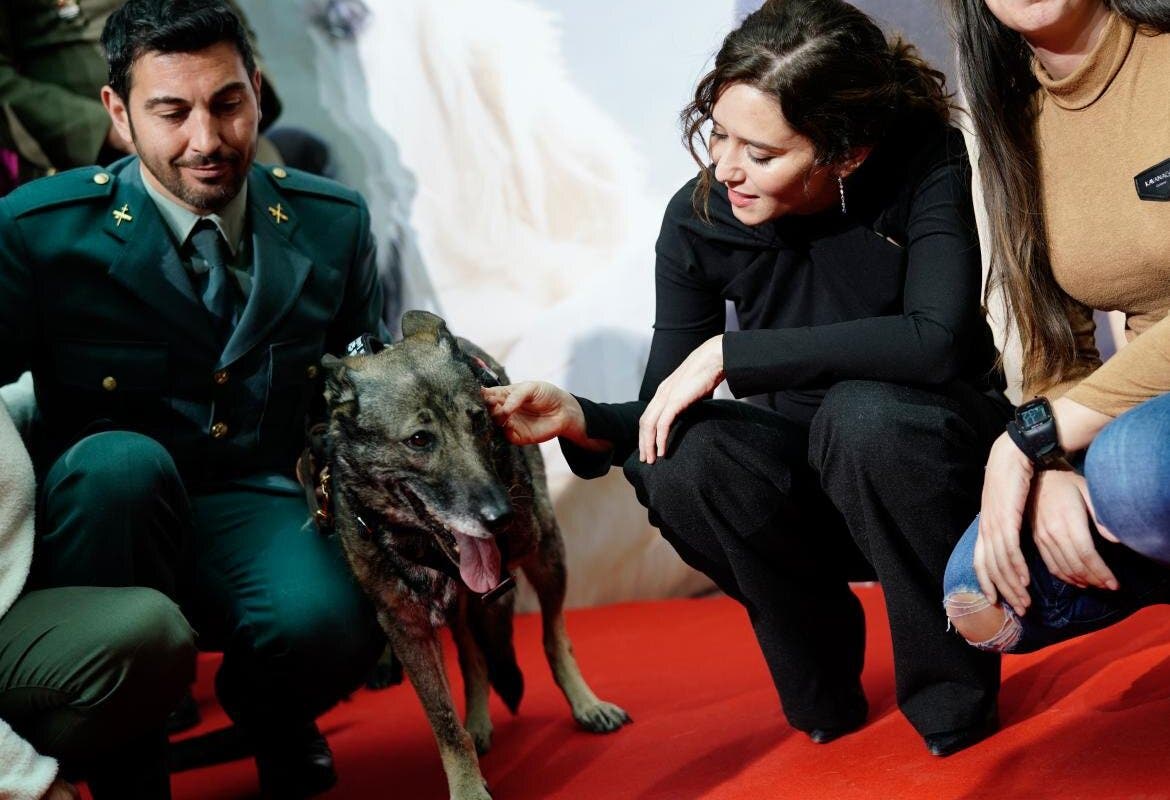 Ayuso anima a adoptar perros que han prestado servicio a los Cuerpos y Fuerzas de Seguridad del Estado