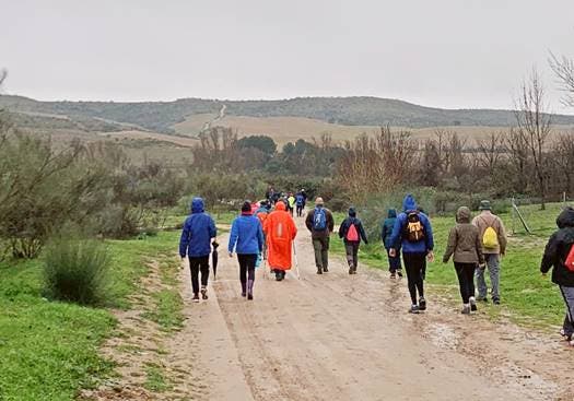 La séptima ruta del Camino de Cervantes se centra en la prevención de las enfermedades digestivas