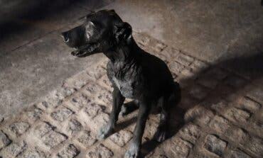Paco, el famoso perro callejero que ya tiene una estatua en Madrid 