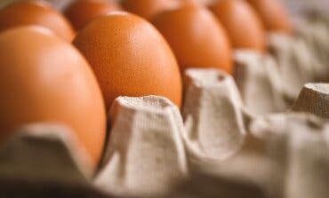 Cierran un conocido restaurante de Madrid por una intoxicación alimentaria con 40 afectados