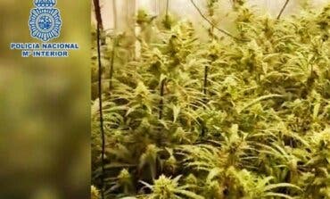 Desmantelados tres narcopisos en Puente de Vallecas con nueve detenidos