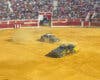 Los perros policía de Torrejón de Ardoz conquistan a una plaza de toros abarrotada