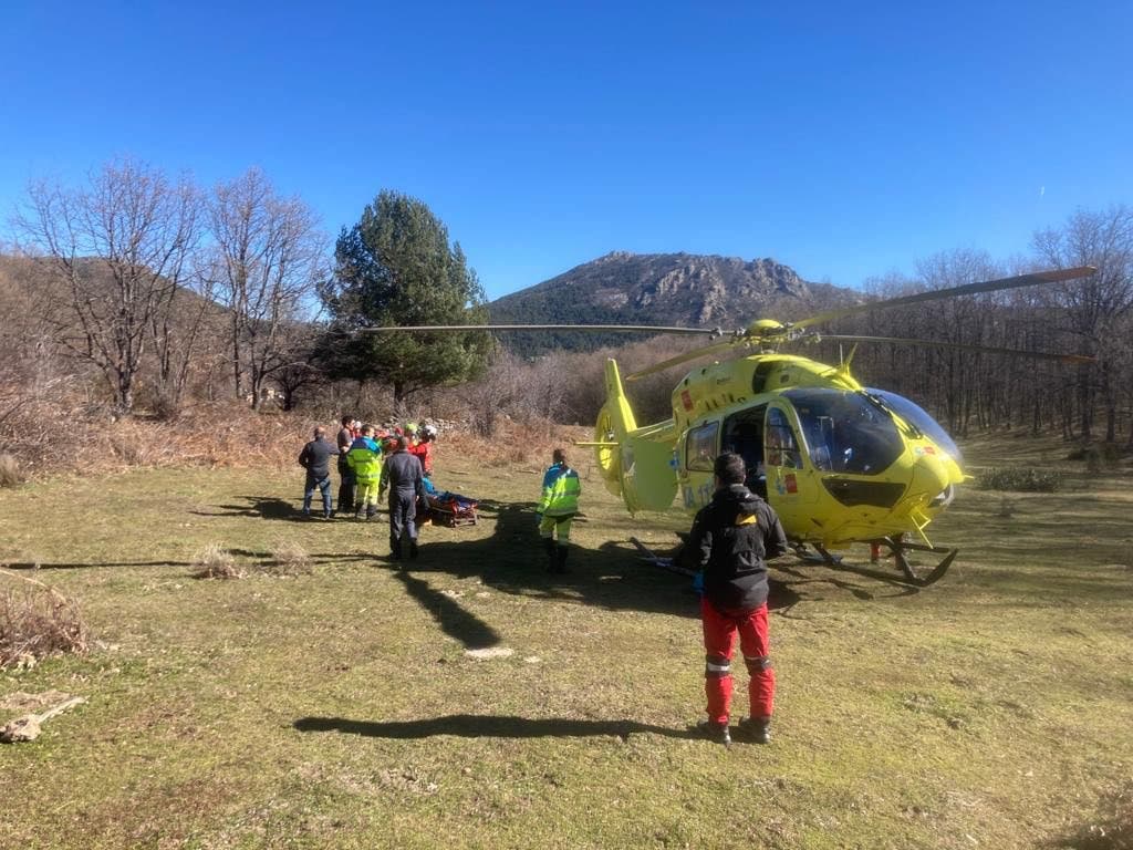 Herida grave tras recibir una cornada de 20 centímetros de una vaca en Bustarviejo