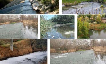Grupos ecologistas organizan un paseo por el río Henares para denunciar su mal estado de conservación 