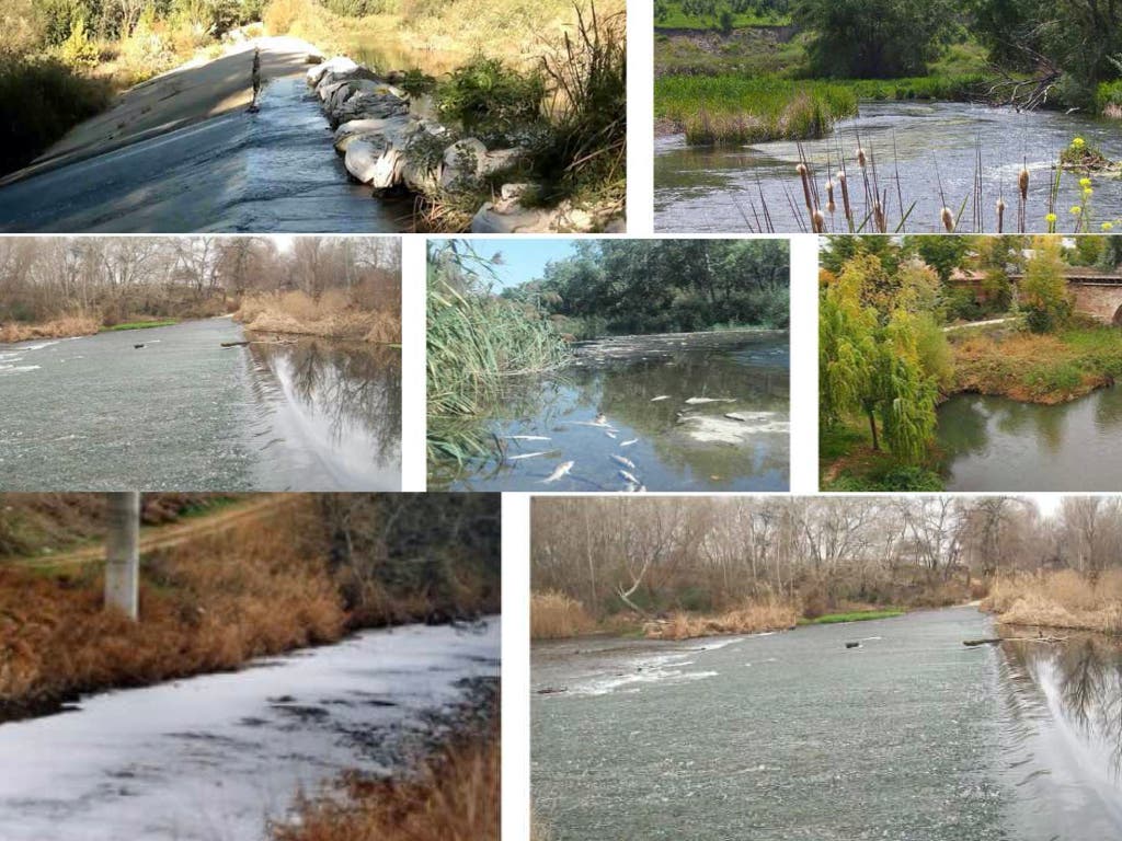 Grupos ecologistas organizan un paseo por el río Henares para denunciar su mal estado de conservación 