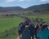 Los tratamientos oncológicos cobran protagonismo durante la decimoquinta ruta del Camino de Cervantes