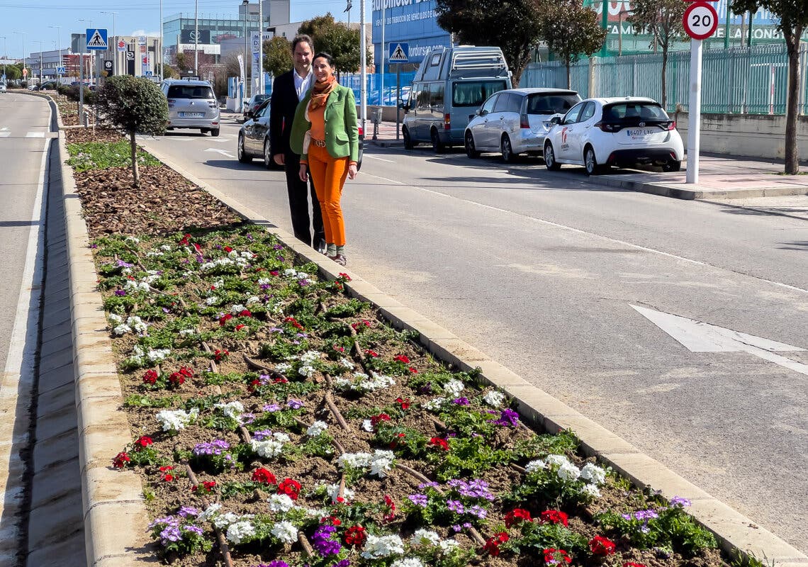 Torrejón de Ardoz renueva con árboles y miles de plantas las medianas de dos importantes avenidas de la ciudad