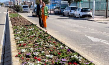Torrejón de Ardoz renueva con árboles y miles de plantas las medianas de dos importantes avenidas de la ciudad