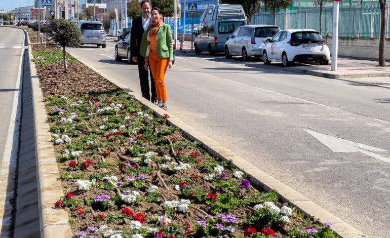 Torrejón de Ardoz renueva con árboles y miles de plantas las medianas de dos importantes avenidas de la ciudad