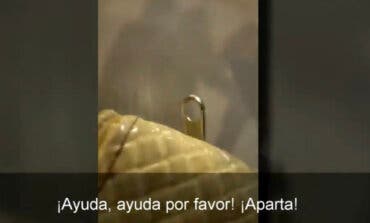 Ya en libertad un hombre con 17 antecedentes detenido en Leganés por intentar secuestrar a tres menores