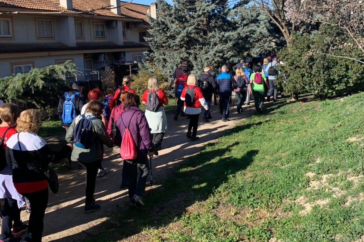 La decimocuarta ruta del Camino de Cervantes se centra en la prevención del deterioro cognitivo