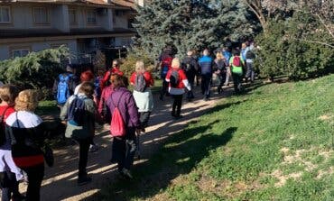 La decimocuarta ruta del Camino de Cervantes se centra en la prevención del deterioro cognitivo