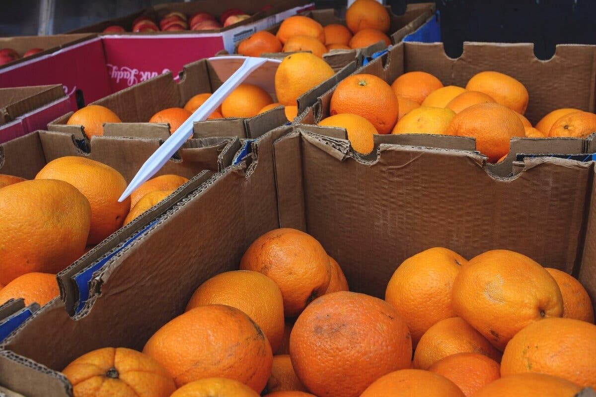 Torrejón de Ardoz: Detenido por atracar con un cuchillo la frutería en la que había trabajado