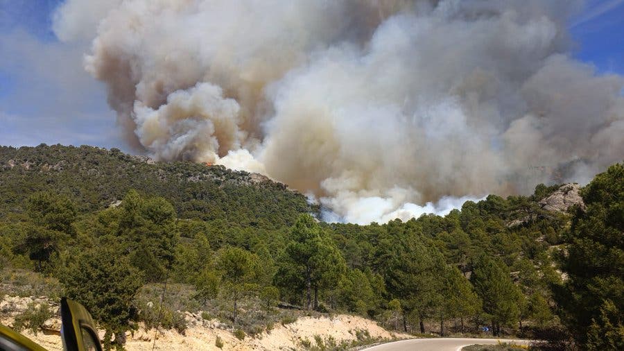 Declarado un incendio forestal en Ocentejo (Guadalajara), en el Parque Natural del Alto Tajo