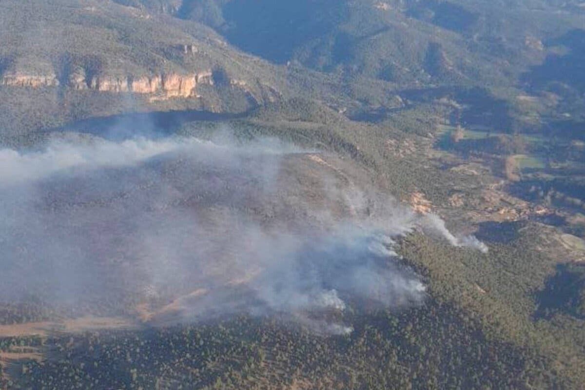 Guadalajara: Continúan las labores de extinción del incendio del Alto Tajo que pasa a nivel 0 