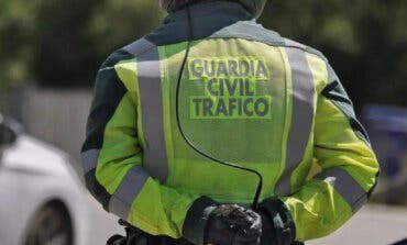 Detenido un camionero en la A-1 por multiplicar pos seis la tasa de alcoholemia  
