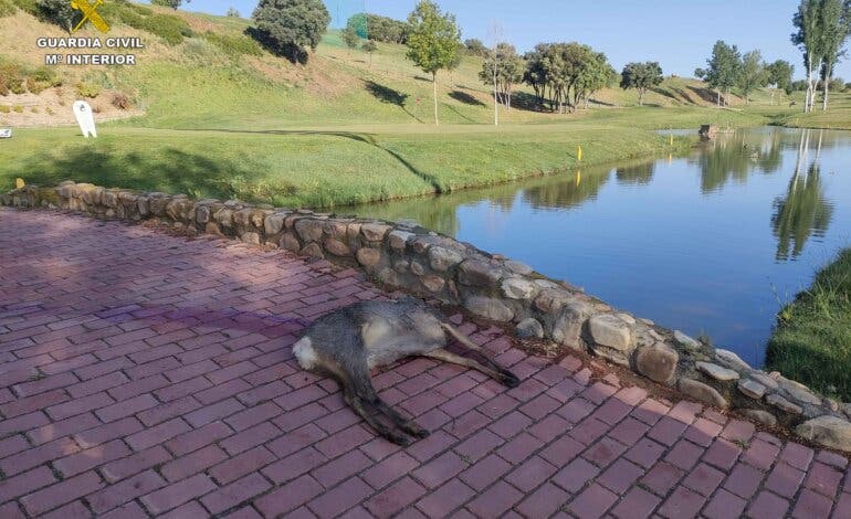 Sorprenden a un cazador abatiendo un corzo en el campo de golf de Cabanillas