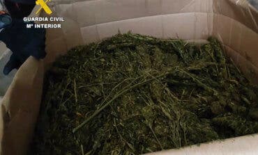 Intervenidas dos toneladas de marihuana en una nave de Cabanillas del Campo