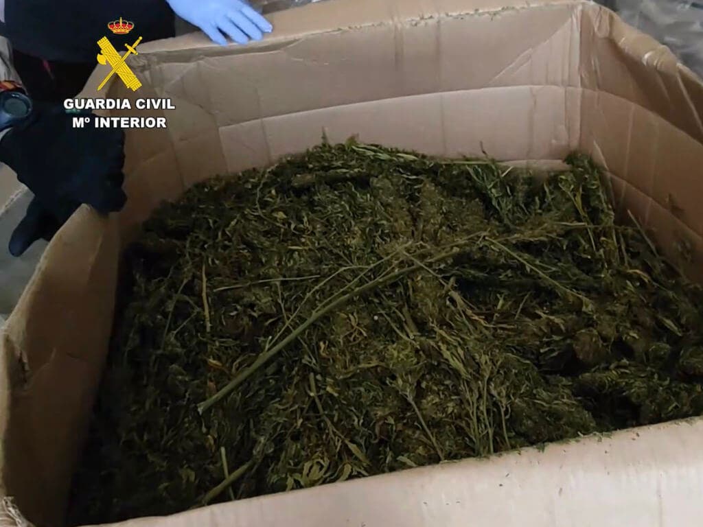 Intervenidas dos toneladas de marihuana en una nave de Cabanillas del Campo