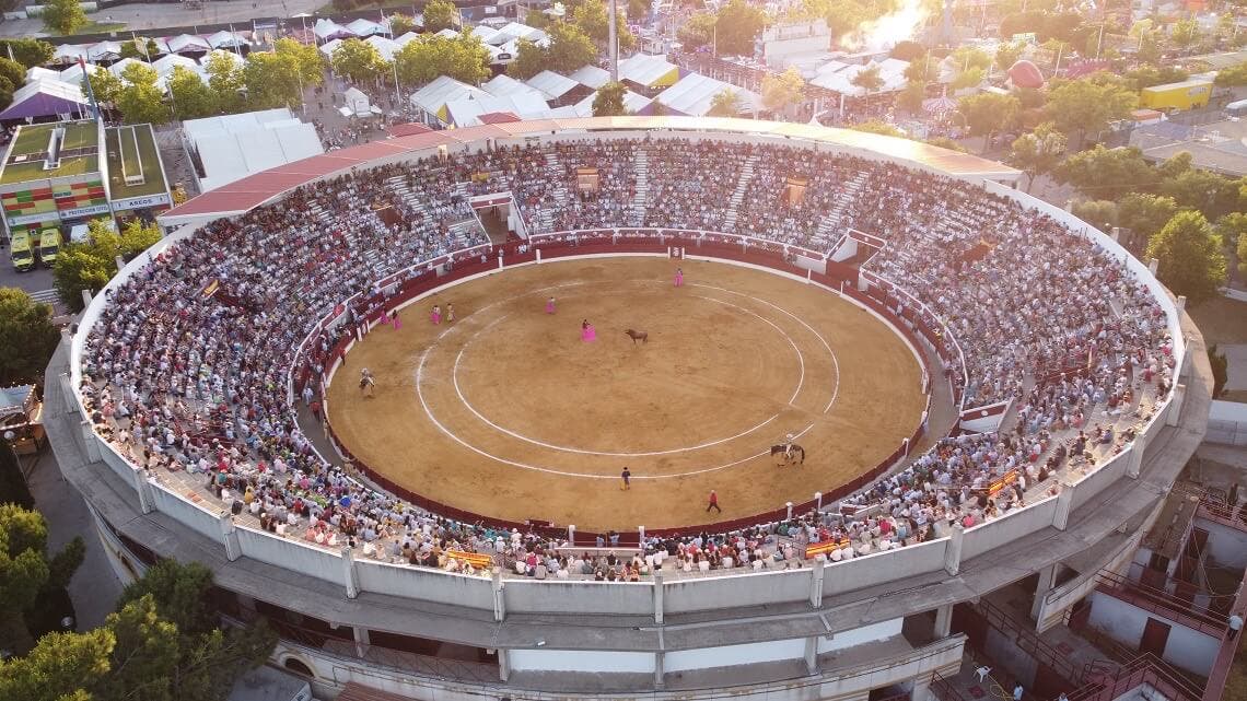 Vuelven los toros a Torrejón de Ardoz: encierros, corridas y recortes en las Fiestas Populares
