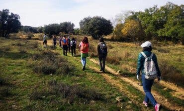 Madrid lanza seis nuevas rutas de senderismo guiadas gratuitas por la Sierra Norte