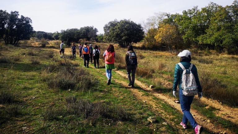 Madrid lanza seis nuevas rutas de senderismo guiadas gratuitas por la Sierra Norte