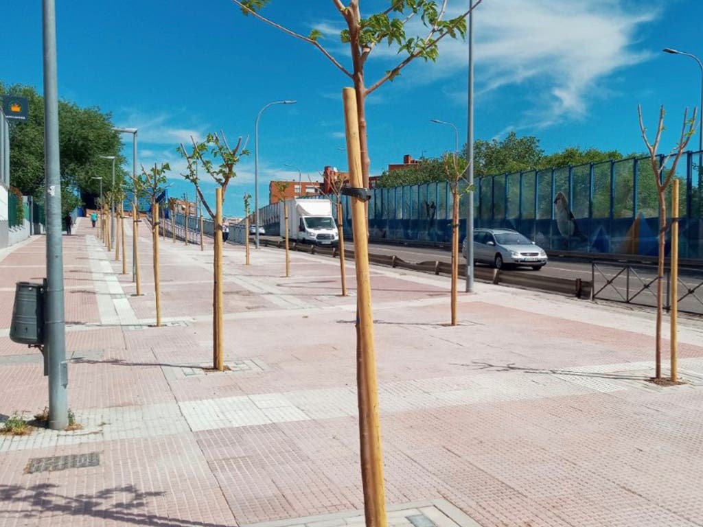 Nuevos árboles y marquesinas ecológicas con techo verde en Torrejón de Ardoz 