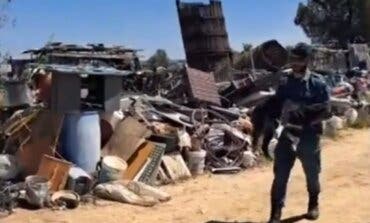 Rescatados cinco perros y dos caballos abandonados y una galga moribunda en una finca de Campo Real