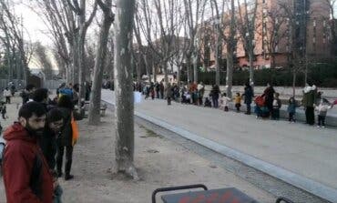 La Justicia rechaza suspender la tala de árboles por las obras del Metro en Madrid Río 