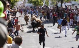 Fiestas de Torrejón: Hoy, último encierro, Feria de Día-Tardeo, toros, Camela y Chayo Mohedano 