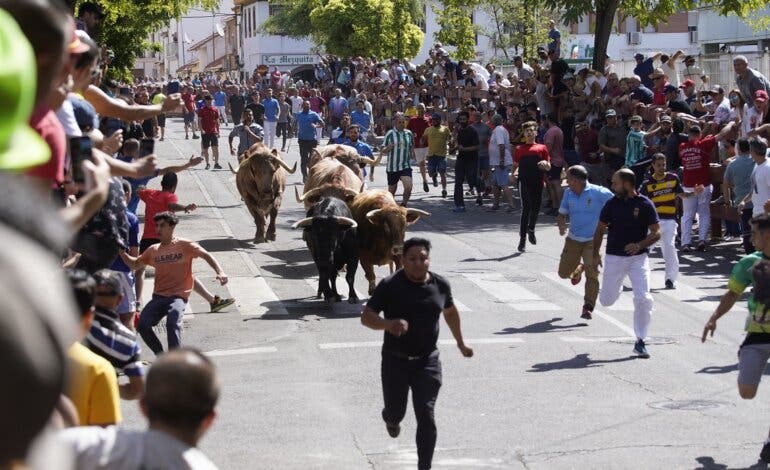 Fiestas de Torrejón: Hoy, último encierro, Feria de Día-Tardeo, toros, Camela y Chayo Mohedano 