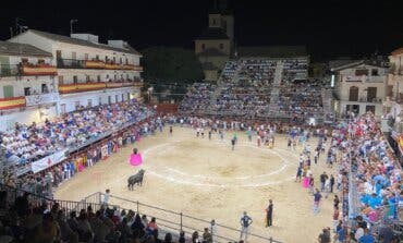 Arganda del Rey recuperará las capeas nocturnas en sus fiestas 